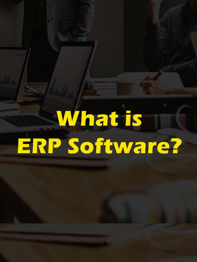 What is ERP Software System?