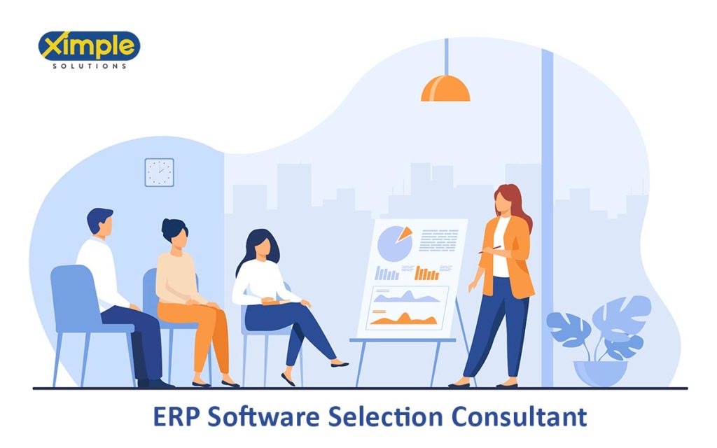 Erp software selection consultant