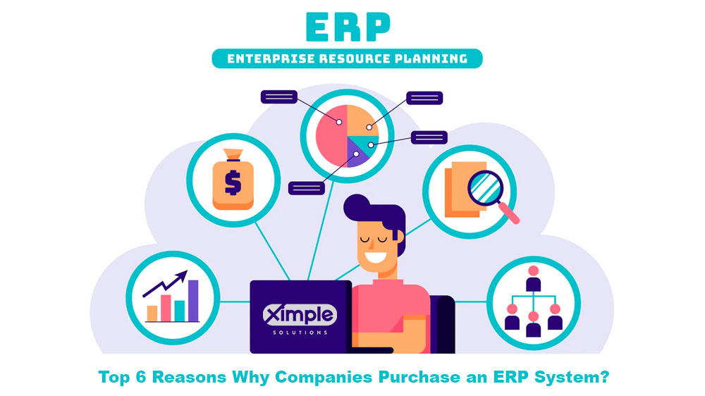 Top 6 Reasons Why Companies Purchase an ERP System?