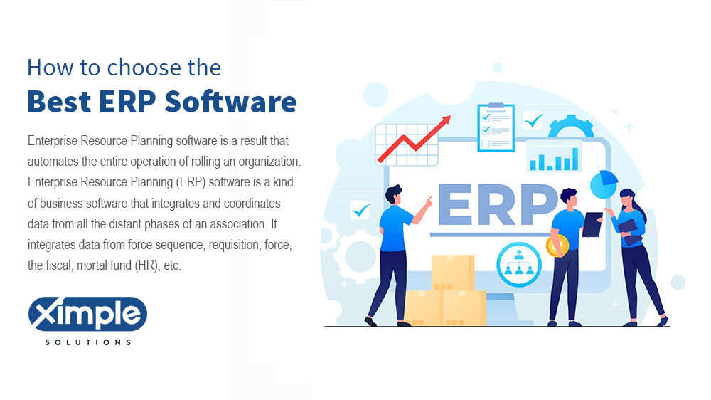Best ERP Software Development Company