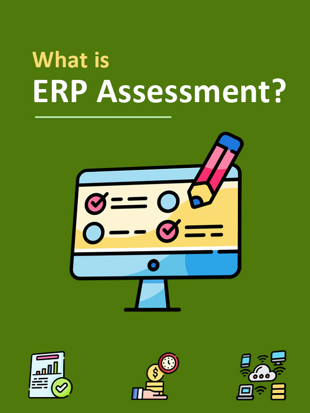 What is ERP Assessment?